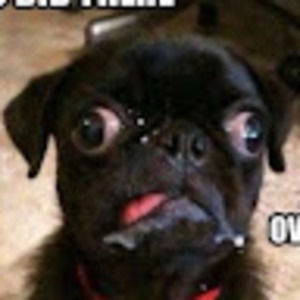 Meet your Posher, Lucia